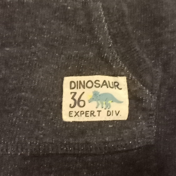 One Piece Dino Jumpsuit - Picture 4 of 4